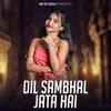 Dil Sambhal Jata Hai